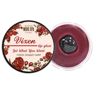 Vixen Lip Gloss for Getting What You Want